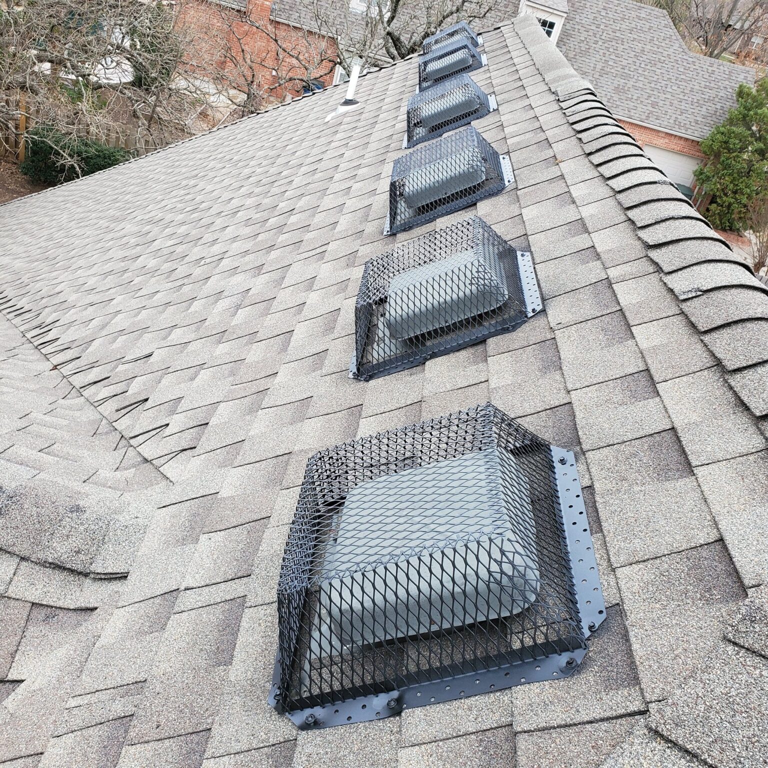 Best Pest Control Services In Edmond