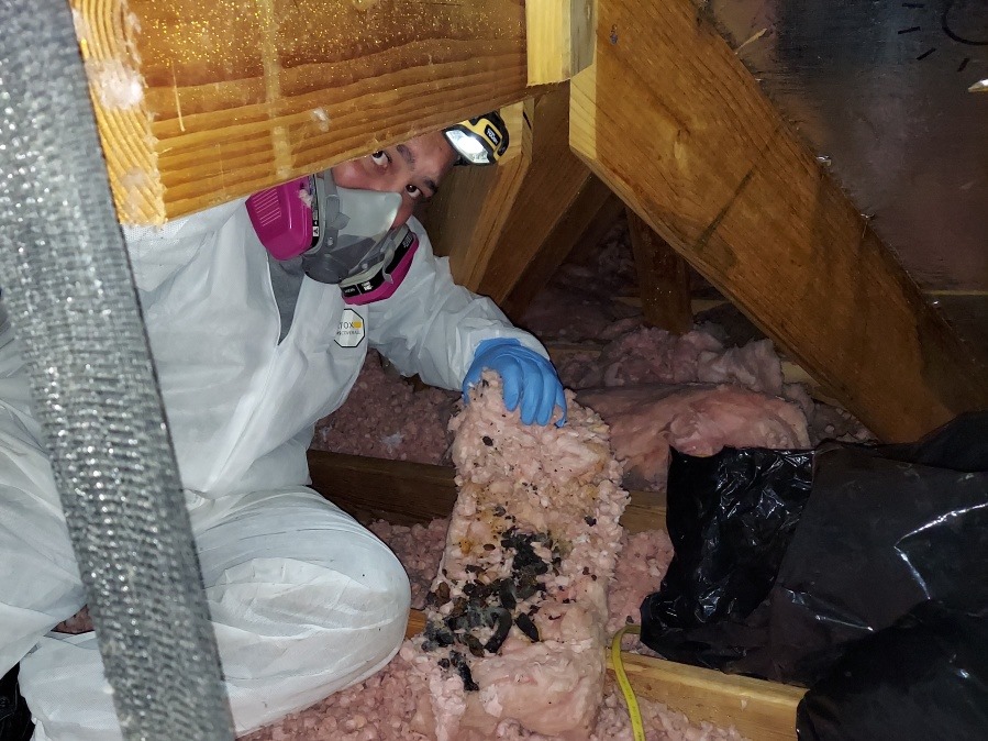 Professional Attic Insulation Inspections Available