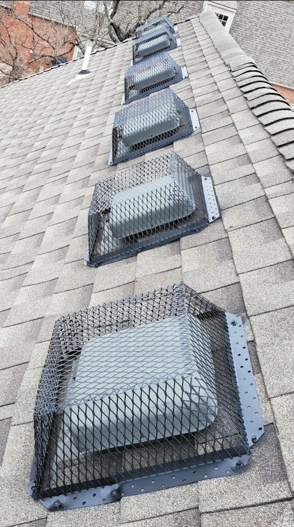 Guthrie Wildlife Removal Services Skunk Bait Wildlife Control LLC