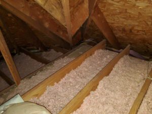 Skunk Bait Wildlife Control provides insulation services In the Oklahoma City metro and surrounding areas.