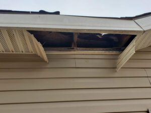Soffit Repair And Replacement 