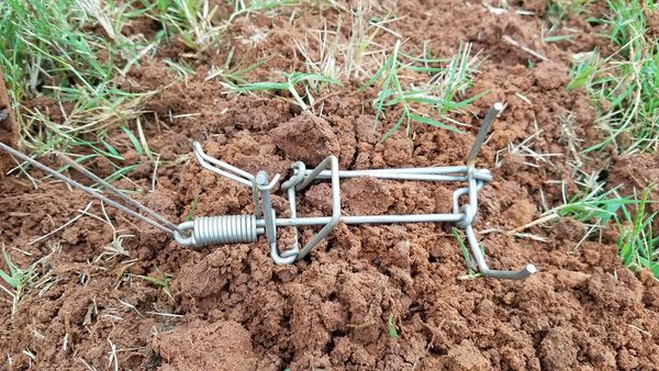 Mole And Gopher Control Services