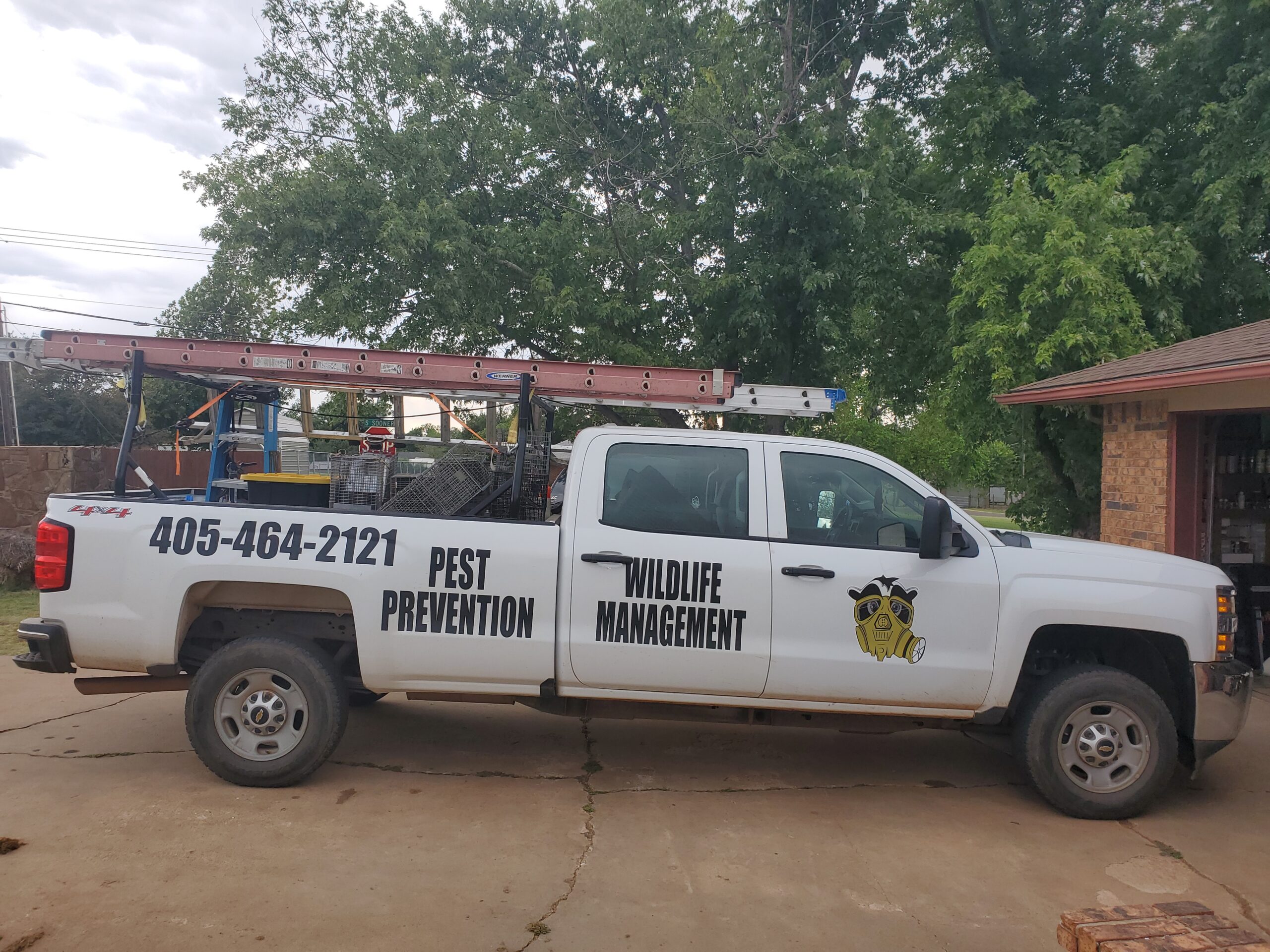 Pest Control And Wildlife Management Services At Skunk Bait Wildlife Control