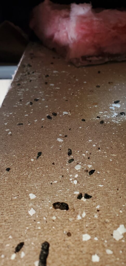 This image shows rodent droppings on a ceiling tile of an office space. At Skunk Bait Wildlife Control we provide rodent control services in the Okc metro and surrounding areas.