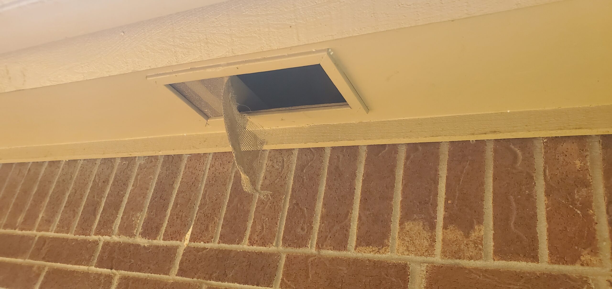 Compromised Soffit Vent