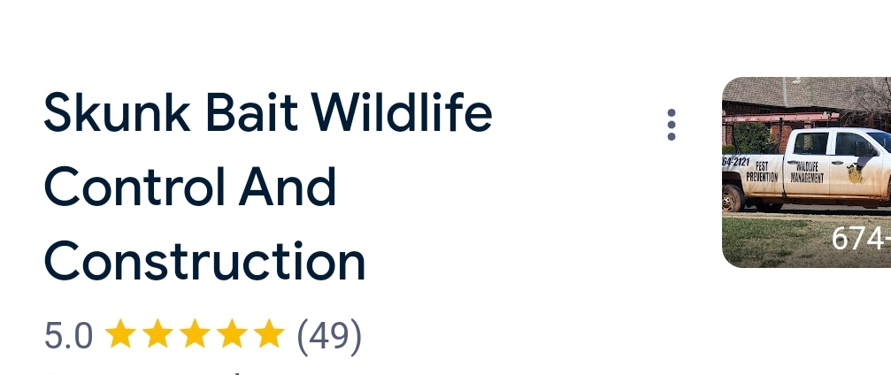 5 star review on google for Skunk Bait Wildlife Control And Construction