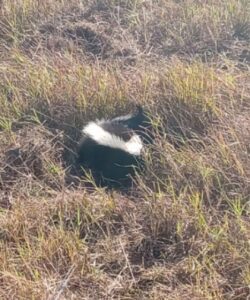 screenshot_20251022_140327_messages1643974085347766386