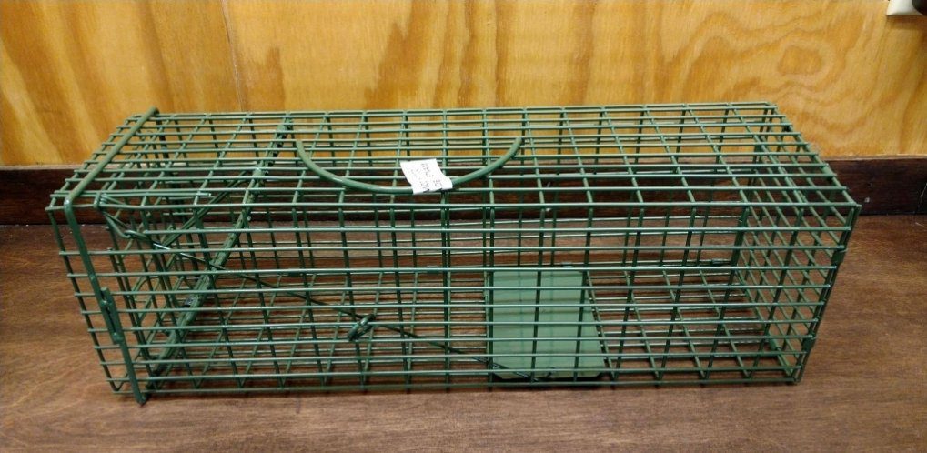SQUIRREL TRAP 5X5x16