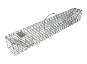 Metal wire trap with a handle.