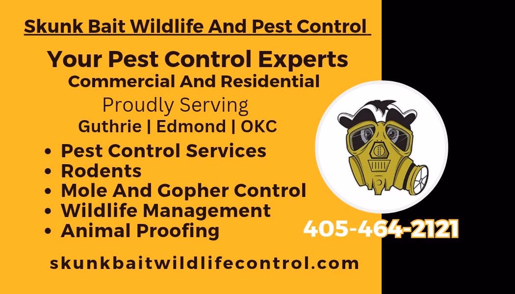 Skunk Bait Wildlife And Pest Control Business Card