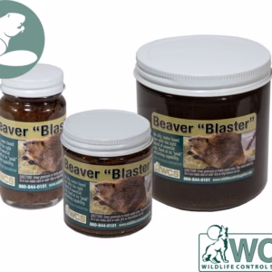 Beaver Blaster Beaver Lure