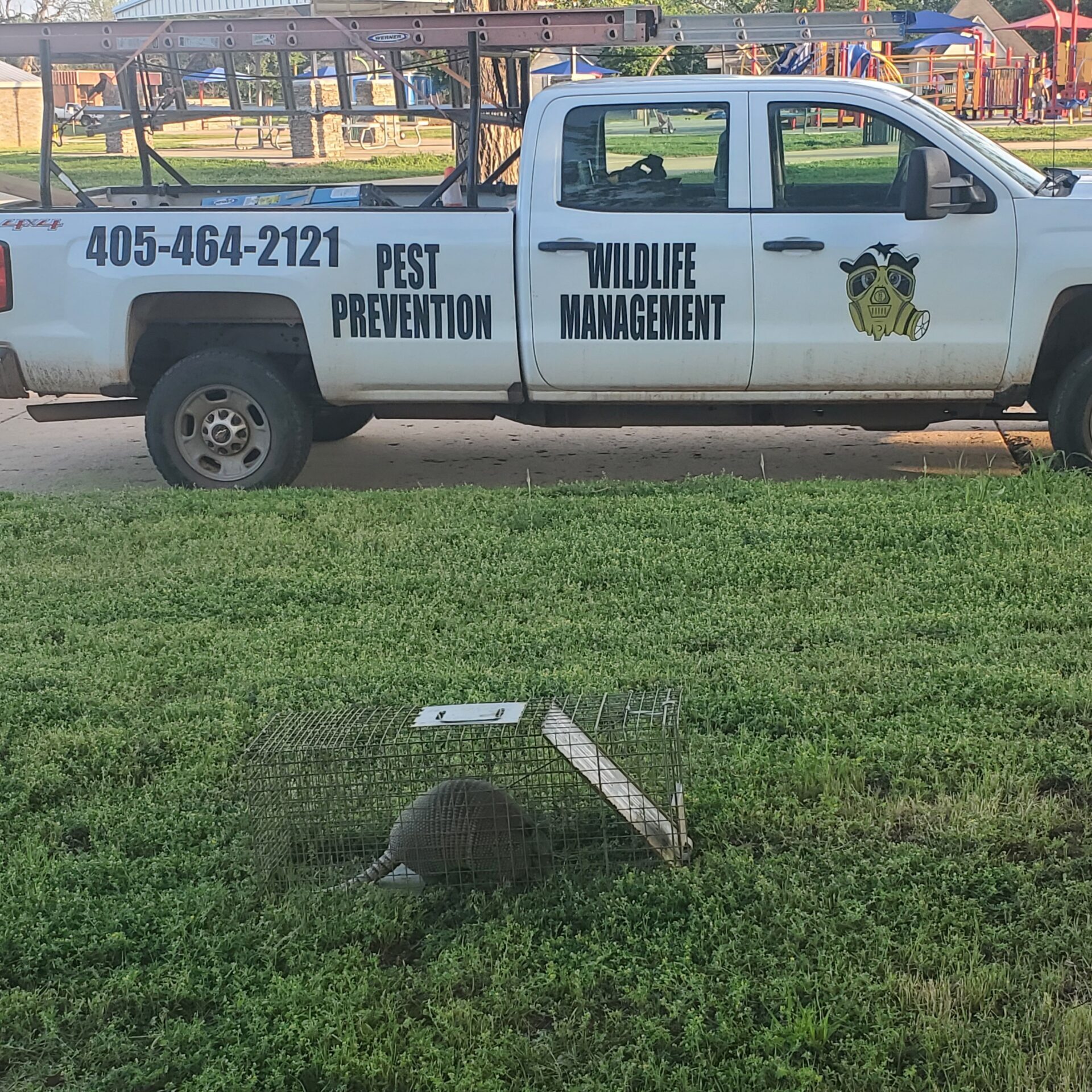 Pest And Wildlife Control Services by Skunk Bait Wildlife Control